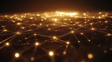 Golden Network of Connections in Digital Space