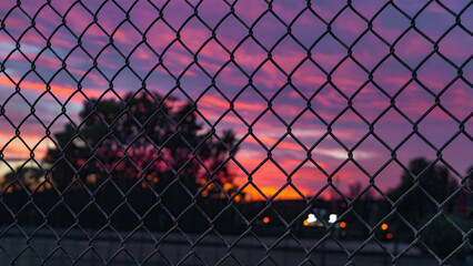 Chain link Fence Pattern with trees sunset background 