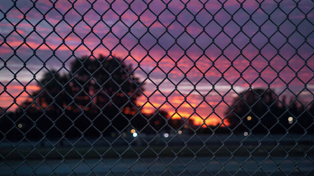 Chain link Fence Pattern with trees sunset background 