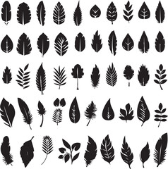 Bird feather silhouette black vector 