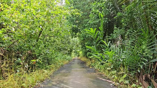 Narrow village street in countryside at Mang Thit district, Vinh Long province, Mekong Delta Vietnam in the morning.	