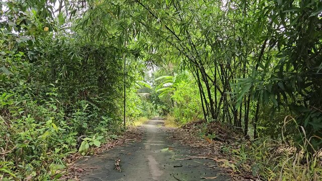 Narrow village path in countryside at Mang Thit district, Vinh Long province, Mekong Delta Vietnam in the morning.	
