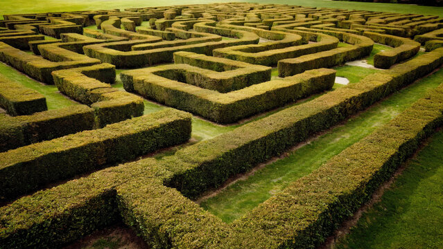 green hedge maze garden grass pattern wallpaper background design 