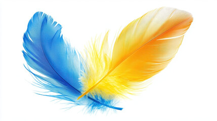 Obraz premium Blue and yellow feathers isolated on white background