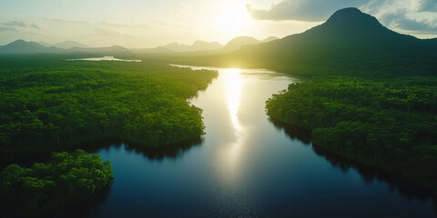 Amazon Rainforest Brazil Soothing and Calming