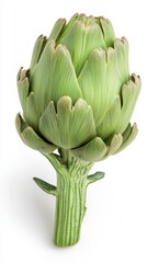 Fototapeta premium Fresh Green Artichoke Organic Vegetable Healthy Food Culinary Ingredient Close Up Shot