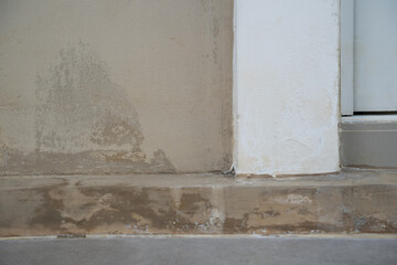 Fungus on the wall after the flood a brick wall with a white paint line