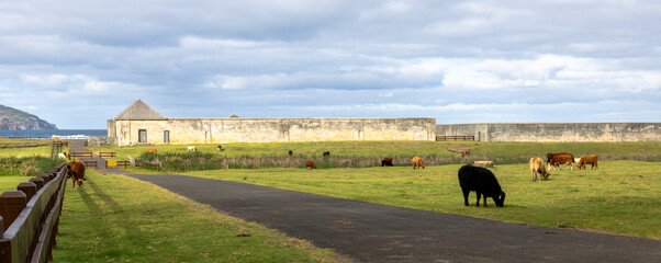 Kingston and Arthur's Vale Historic Area, Norfolk Island, Australia