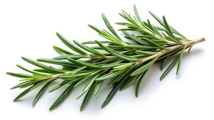 Fototapeta premium Drone Shot Rosemary Sprig - Culinary Photography, Fresh Herbs, White Background, Aromatic