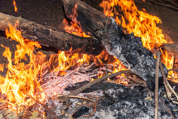 Close-up of a Bonfire in the night