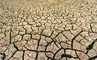 Brown dry soil or desert cracked ground texture background