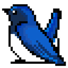 Obraz premium ドット絵, アニマルイラスト, オオルリのオス, 尾上げ