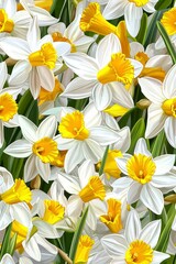 Spring daffodil bloom garden floral photography bright environment close-up view nature's beauty