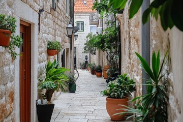 Fototapeta premium Picturesque narrow alleyway with stone walls, vibrant potted plants, and rustic charm in a European village setting.