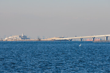盤洲干潟から見た海ほたる 浅瀬では大サギが羽を休める