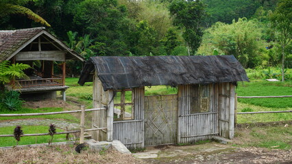 old house in the woods