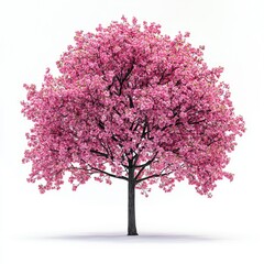 Obraz premium Pink Cherry Blossom Tree