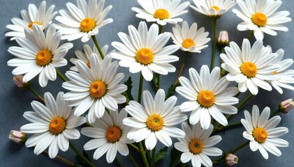 Fondo de flores de margarita con detalles de oro y plata, metallic, daisy flowers, silver