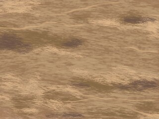 Tree teksture type s11 brown