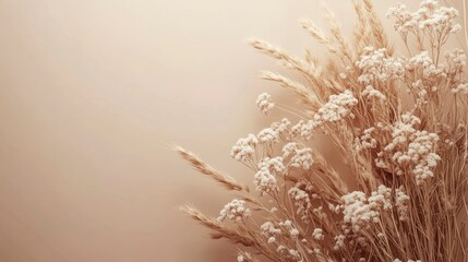 Obraz premium Dried Floral Arrangement on Beige Background Pampas Grass and Baby's Breath