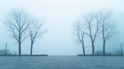 Mindfulness and meditation method, A serene, foggy landscape featuring bare trees lining a deserted pathway, creating a tranquil and mysterious atmosphere.