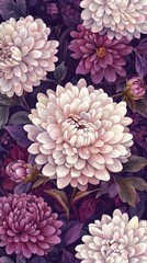 Stunning Purple and White Dahlias: A Close-Up View of Exquisite Blooms in a Dark Garden Setting