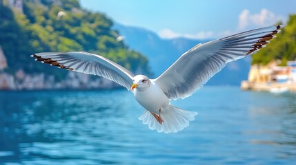 Obraz premium Seagull in Flight over Azure Waters