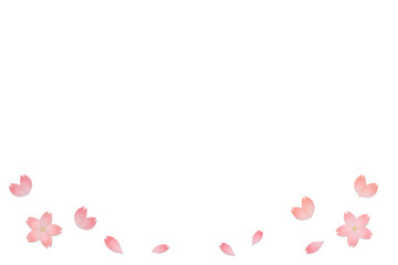 ピンクの桜の花と花びらが下部に広がる背景