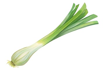 leek