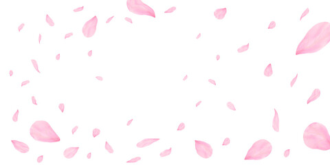 春の風に舞い散るかわいいピンク色の桜の花びら　PNG透過素材