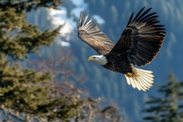 Obraz premium Majestic Bald Eagle Soaring Through Mountains