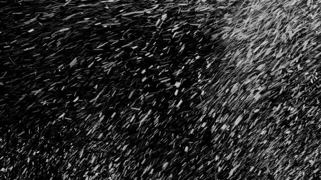 Dynamic Motion of Falling Snow in a Winter Night Storm Captured in Elegant Black and White