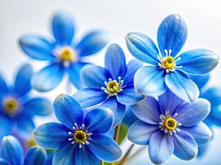 Obraz premium Close-up panoramic view of vibrant blue spring blossoms, blooming branches against a stark white backdrop.