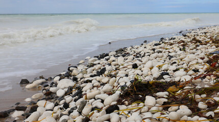 seaweed and smooth stones of various sizes on the pebbly beach and the Baltic Sea with waves on the shoreline