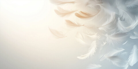 Federn auf neutralen Hintergrund, Grußkarte, Werbebanner, Hintergrundmotiv