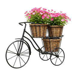 Charming Outdoor Display Vintage Bicycle Planter with Vibrant Flowers On Transparent Background
