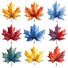 Obraz premium Vibrant Watercolor Maple Leaf Collection with Warm and Cool Hues on White Background