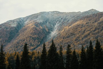Mountain landscape with autumn foliage and trees.