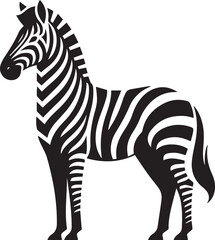 Zebra vector illustration in black and white