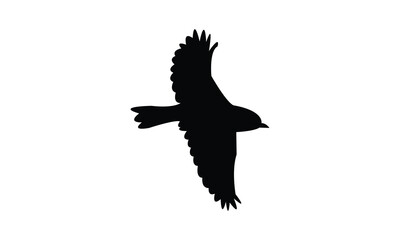 Flying Warbler Bird Silhouette Design  And Vector Illustration. 
