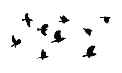Flying Warbler Bird Silhouette Design  And Vector Illustration. 