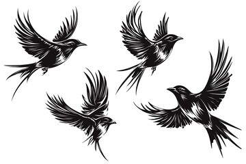 Obraz premium Flying birds silhouettes on white background.