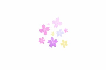 Soft Pastel Floral Design with Delicate Blossoms on White Background