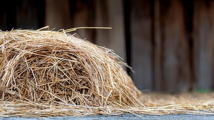 A close-up view of a haystack, showcasing the texture and natural color of straw against a rustic background.