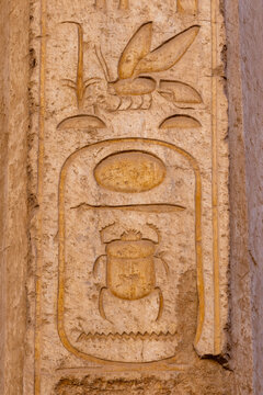 Hieroglyphs and wall paintings in Egypt, Mortuary Temple of Hatshepsut in the Deir el-Bahari necropolis of Thebes, Egypt, Luxor