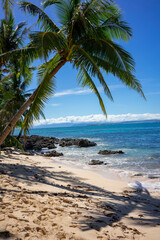 A serene beach with golden sand, rocky shores, and overhanging palm trees against turquoise waters. Perfect for tropical vacation promotions, relaxation concepts, or travel designs.