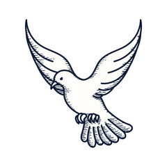 Dove , Dove Vector Illustration, Dove Bird Doodle Vector, Bird Sketch Vector, Dove Drawn Vector, Pigeon Bird Vector Image.