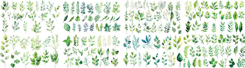 Green watercolor leaves on isolated background	