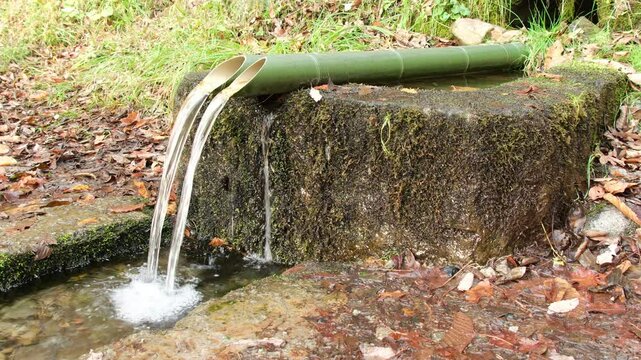 矢ノ原湿原の湧水