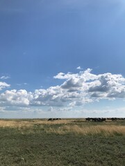 Obraz premium landscape with clouds